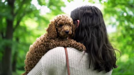 woman cuddling adorable brown poodle puppy outdoors in park