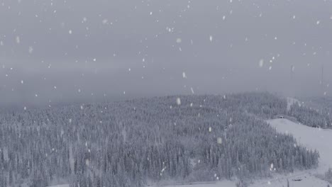 Foggy-day-over-snow-covered-forest-in-Sweden-during-snowfall,-aerial-view