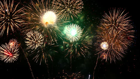 hermosa celebración abstracto colorido espectáculo de fuegos artificiales en el fondo de la noche