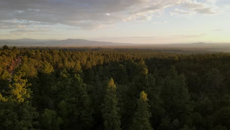 drone flying over trees at sunset in new mexico