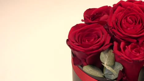 gentle colourful bouquet of red roses, close-up