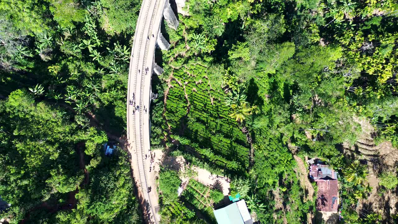 drone vista aérea del paisaje de ella nueve arcos puente ferroviario turismo punto de referencia arquitectura en la agricultura bosque sri lanka asia viajes turismo transporte