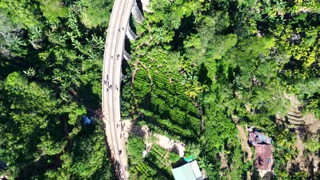 aerial drone landscape view of ella nine arch bridge railway tourism landmark architecture in farming forest sri lanka asia travel tourism transport