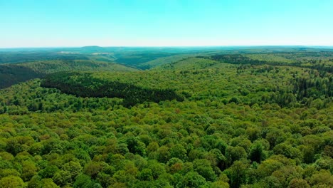 Drohnenflug-über-üppig-Grünen-Sommerwald-Und-Berglandschaft