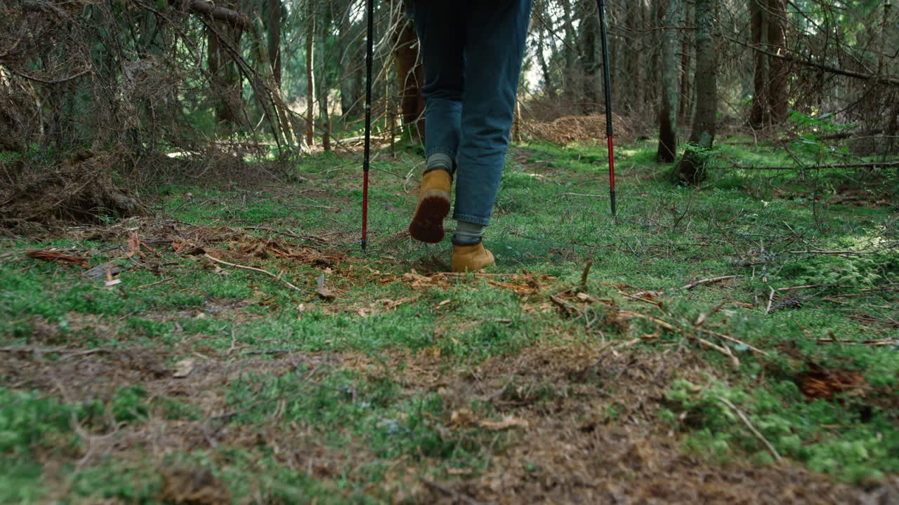 mujer caminando en el bosque de verano