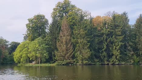 Close-up-static-shot-of-small-island-on-lake-in-Germany-during-Autumn-season