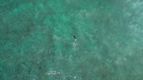 Persona-Buceando-Bajo-El-Agua-Y-Pesca-Submarina-En-El-Océano-índico-En-Un-Día-Soleado