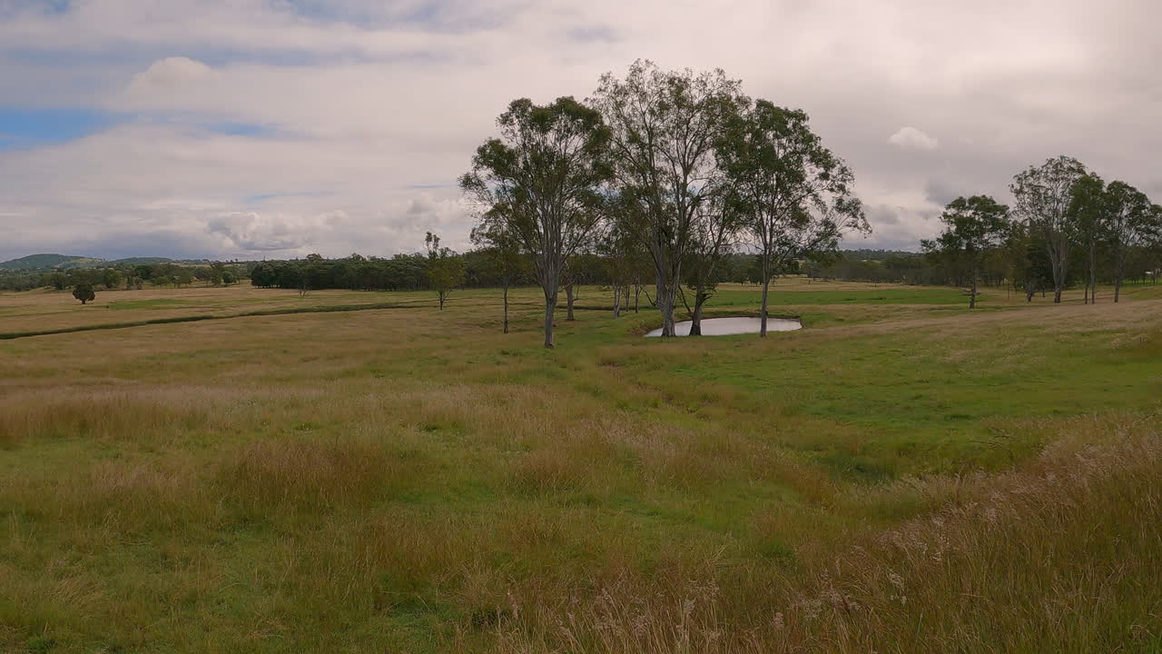 오래된 철로를 따라 부시워킹하는 등산객들의 관점, 솟아오른 가장자리, 멀리 나무들이 둘러싸고 있는 작은 연못, 브리즈번 밸리 레일 트레일, qld 4k