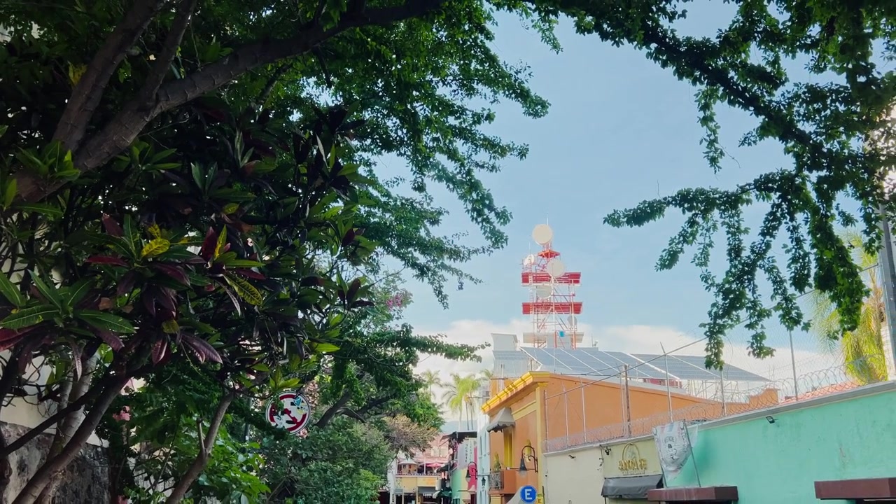 Khung cảnh đường phố được bao quanh bởi tán cây xanh tươi với tòa tháp đỏ trắng vươn cao trên những tòa nhà đầy màu sắc. Góc nhìn từ người đi bộ ghi lại kiến trúc đô thị dưới bầu trời xanh trong và cây xanh xung quanh