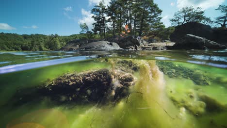 fjord over and under water split view