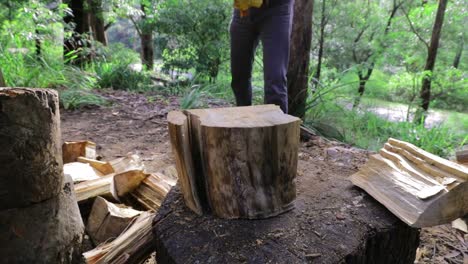 Man splitting log with axe for winter fuel, green vegetation behind - close up of log - Slow Motion