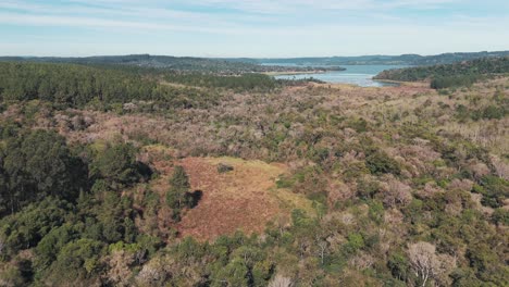 vista aérea de un humedal rodeado de plantaciones de eucaliptos y bosque nativo en misiones, argentina con el río paraná y paraguay visibles en el fondo