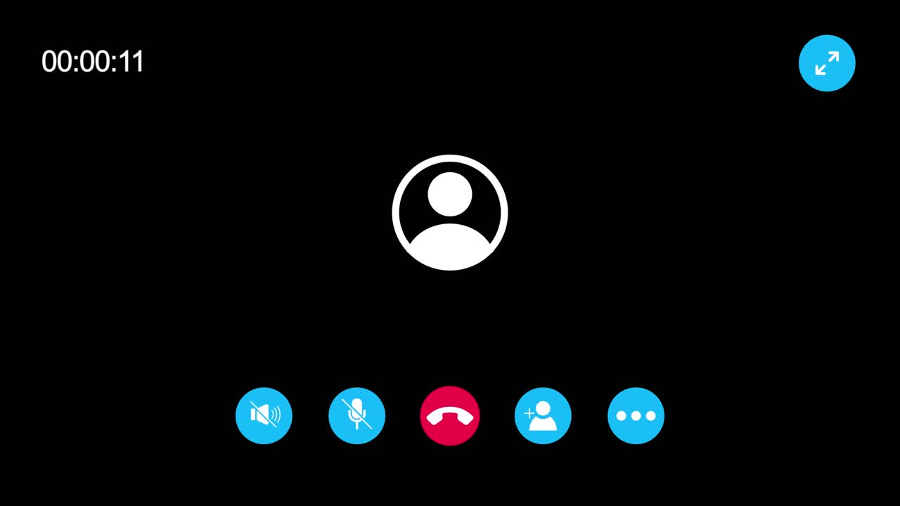 Video Call Interface