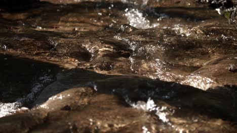 Creek-water-floating-in-Switzerland-2