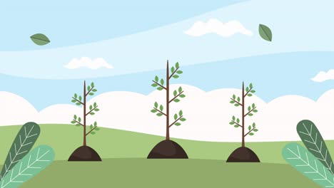 ecology landscape with plant scene