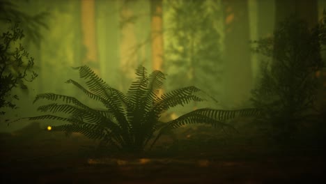 firefly in misty forest with fog