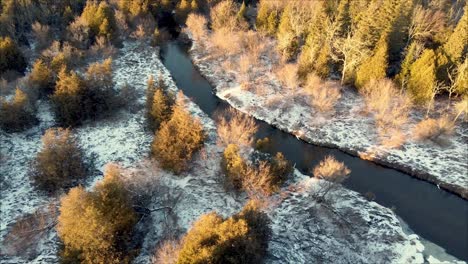 Sobrevuelo-Aéreo-Del-Paisaje-Forestal-Con-Arroyo-Y-árboles-Iluminados-Al-Atardecer