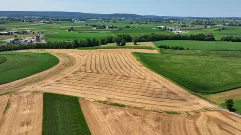 una vista aérea de las exuberantes tierras de cultivo verdes en el sur del condado de lancaster, pennsylvania en un día soleado de verano