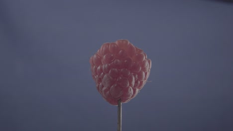 raspberry rotating with loop on blue screen for chroma key