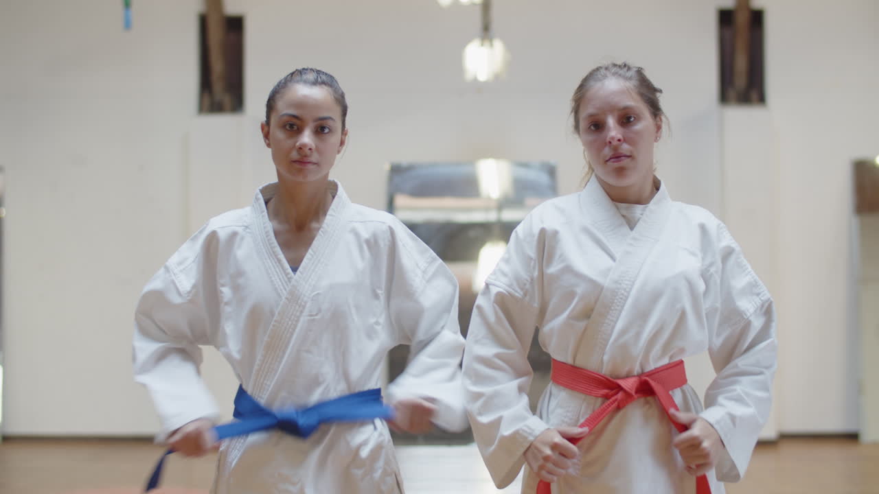 체육관에서 기모노에 벨트를 묶는 집중된 소녀의 전면 모습