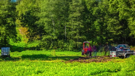 preparing a countryside property for the foundation and construction of a cabin - time lapse