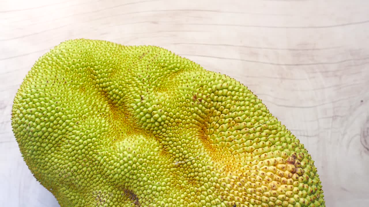 primer plano de la jaca