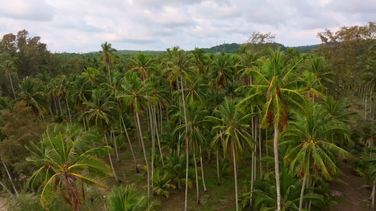 Vista aerea delle onde che lambiscono dolcemente la spiaggia di Ao Taphao, Koh Kood, Thailandia