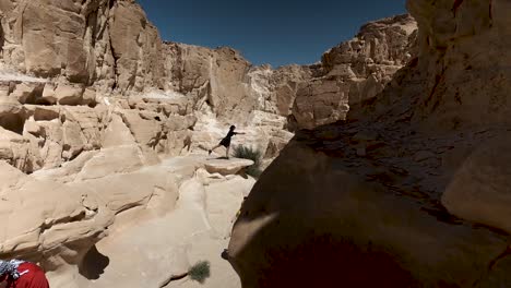 cañón de colores en dahab, conduciendo y explorando este hermoso cañón en egipto
