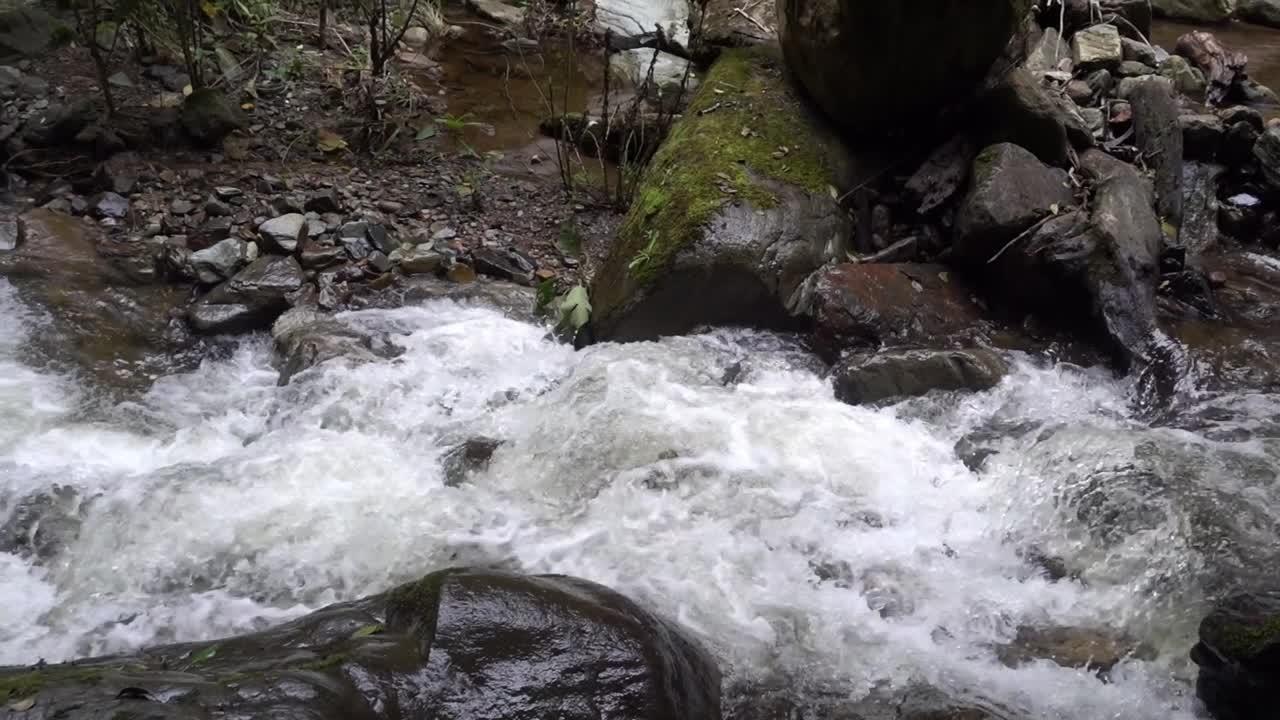 A nice small river on a hike, in the Valley of Cocora in Colombia