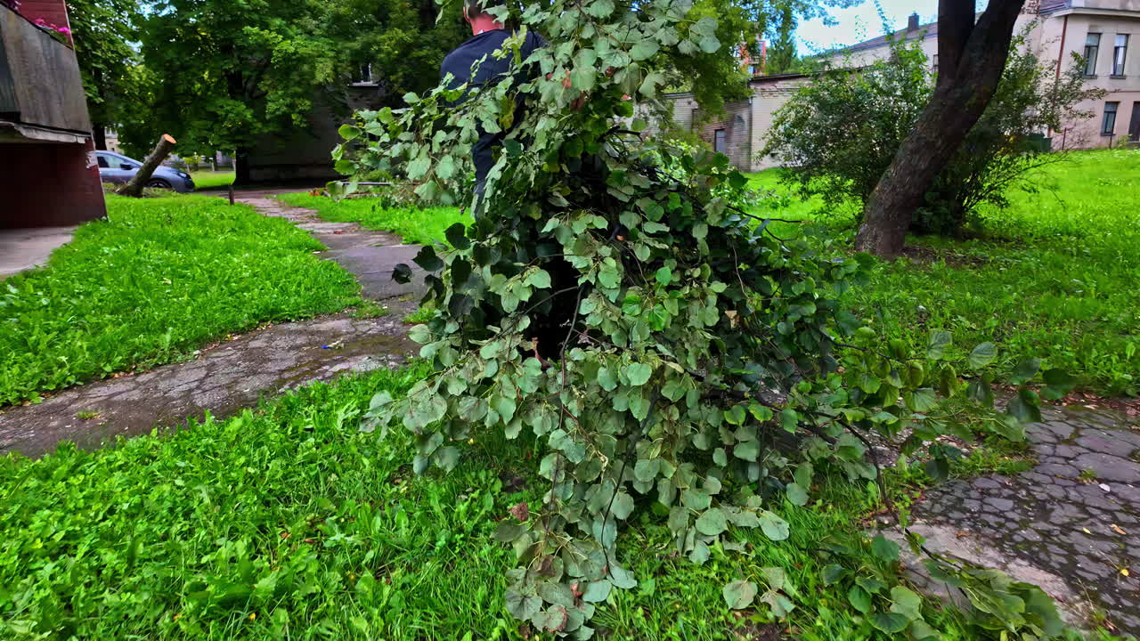 садовник очистка земли от сорняков, ландшафтный мастер, очистка дополнительных кустарниковых ветвей