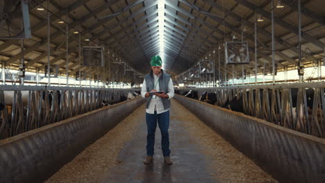 livestock supervisor holding tablet computer in modern cowshed farm facility.