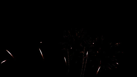 hermosa celebración abstracto colorido espectáculo de fuegos artificiales en el fondo de la noche
