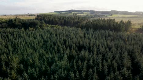 rotating aerial view of vast dense forest and lake in countryside