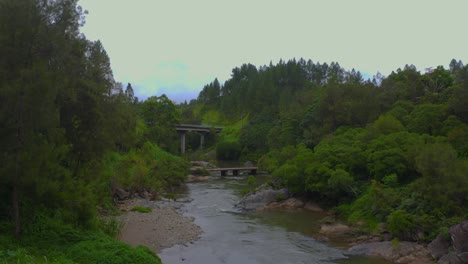 the drone's lens captures the gentle flow of the tropical river as it winds its way through dense jungle and vibrant foliage