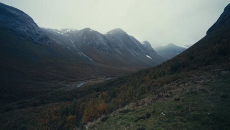 Dichter-Wald-Am-Berghang-Mit-Kalter-Felsiger-Bergkette-Im-Hintergrund