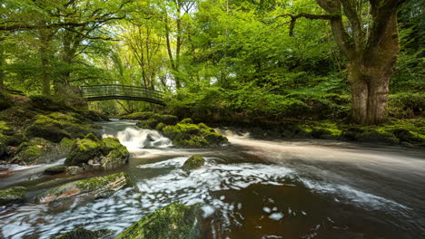 Lapso-De-Tiempo-Panorámico-De-La-Cascada-Del-Parque-Forestal-De-Primavera-Rodeada-De-árboles-Con-Rocas-Y-Puente-Peatonal-En-Primer-Plano-En-El-Paisaje-Rural-De-Irlanda