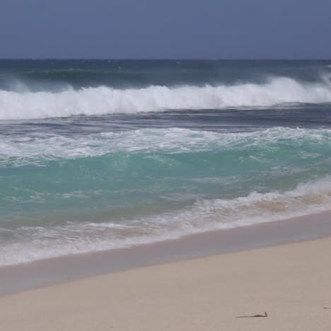 Rollende-Meereswellen,-Die-An-Surfern-In-Hawaii-Vorbei-Auf-Den-Sandstrand-Schlagen