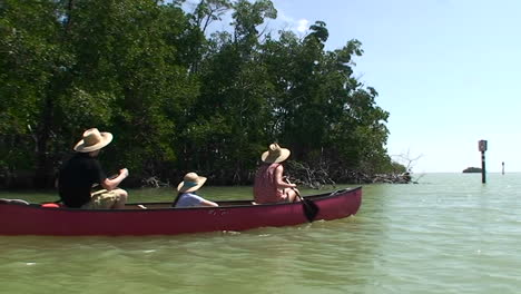 Una-Canoa-Se-Rema-A-Través-De-Un-Pantano-De-Cipreses