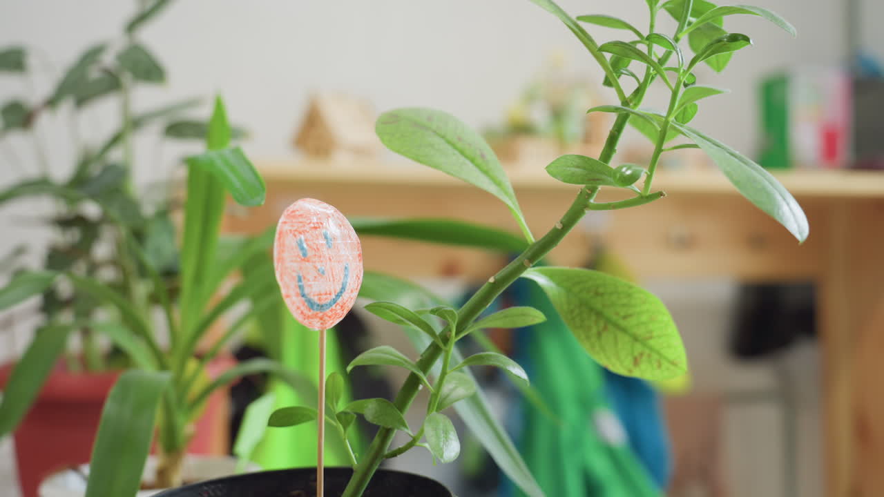 Close up of green indoor plant in terracotta pot with handmade orange smiley ornament on stick, surrounded by other houseplants with soft natural light and blurred background of wooden shelf