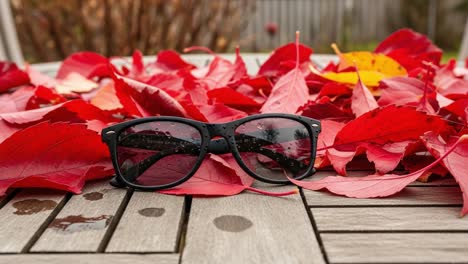 a stylish pair of sunglasses resting on vibrant red autumn leaves, capturing the beauty of the changing seasons with a sparkling dewdrop finish
