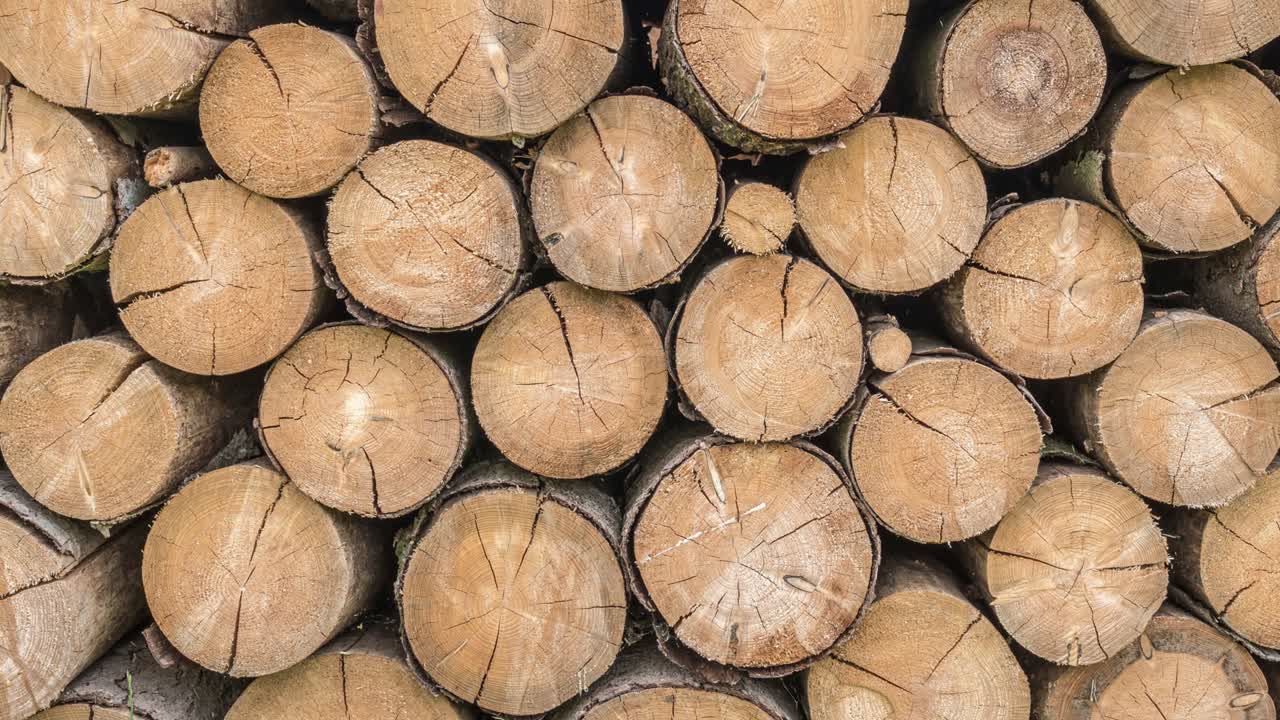 나무 줄기 또는 나무 줄기를 잘라서 땅 위에 쌓아 두는 것