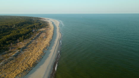 Amplia-Toma-Aérea-De-Playa-De-Arena-Vacía-Y-árboles-Forestales-Durante-El-Día-Soleado-Y-El-Cielo-Azul-En-Hel,-Polonia