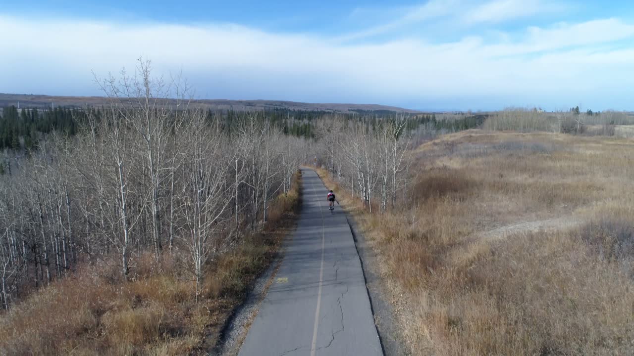 숲 4k에서 시골 도로를 통해 자전거 타는 자전거 타는 공중