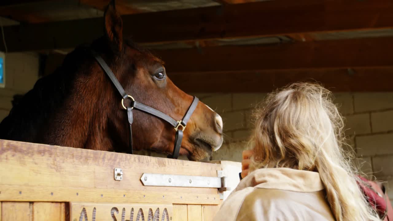Woman standing near horse in the stable 4k