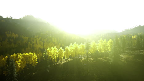 sunlight filtering through vibrant autumn trees in a mountainous landscape