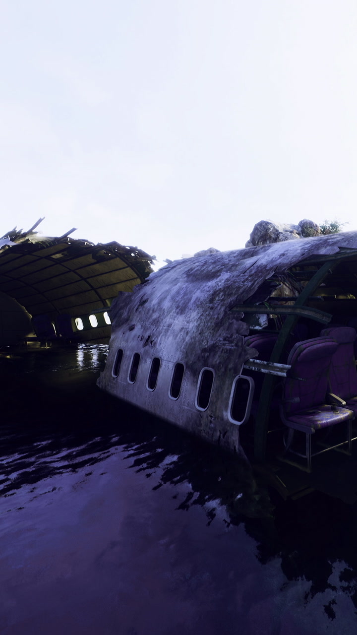 Wreckage of a sunken airplane near a rocky shore in bright daylight