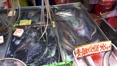 fresh alive fish and eel seafood in containers for sale in open fish wet market in asia, hong kong china