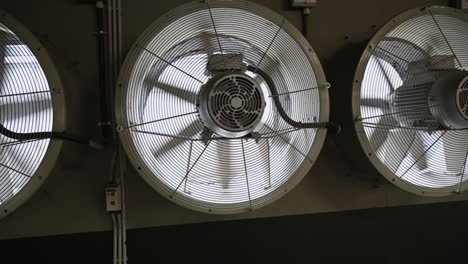 working large industrial fans in a production area. rotating fan blades.