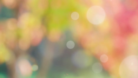 Abstract spring background with bokeh