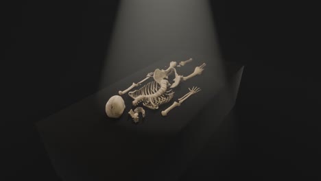 3d animation showing a camera orbiting around a skeleton being examined under a light